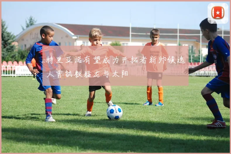 特里亚诺有望成为开拓者新帅候选人曾执教猛龙与太阳