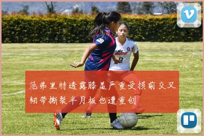 范弗里特透露膝盖严重受损前交叉韧带撕裂半月板也遭重创
